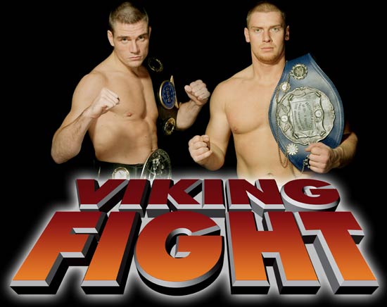 Enter Vikingfight!